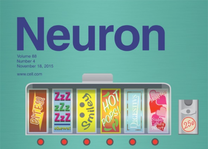 Cover for Neuron Magazine